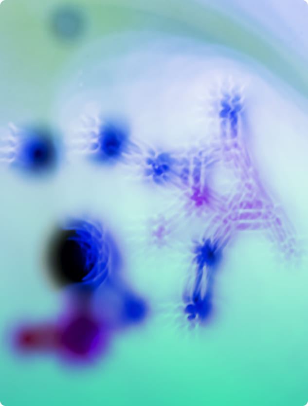 A macro photograph of fine white creatine powder