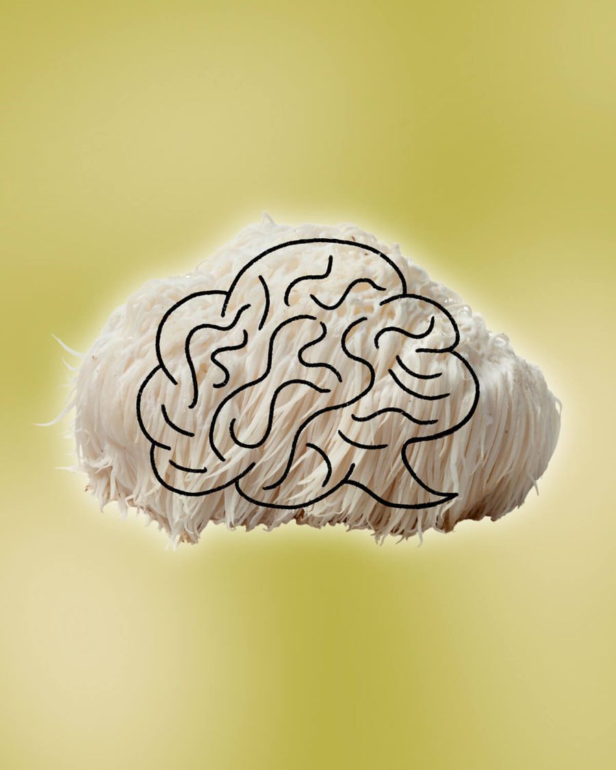 SuperMush's Our Story image: a lion's mane mushroom with a brain drawn over it