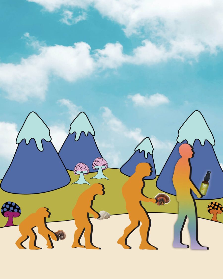 SuperMush's Our Story illustration: the evolution of man, foraging mushrooms along the way